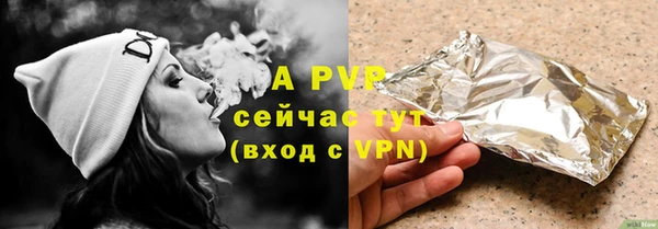 бошки Тавда