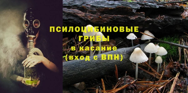 сатива Волоколамск