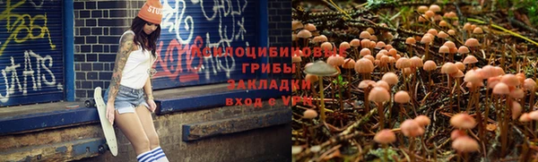дмт Бронницы
