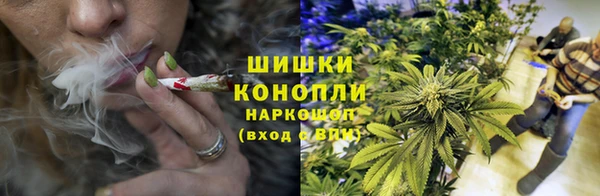 молекула духа Володарск
