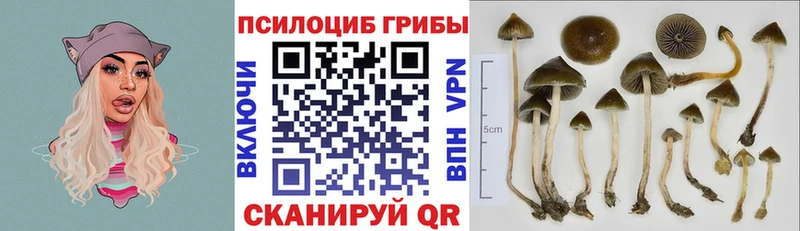 Псилоцибиновые грибы Magic Shrooms  Дрезна 